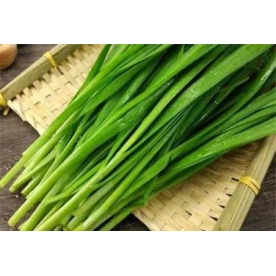 韭菜