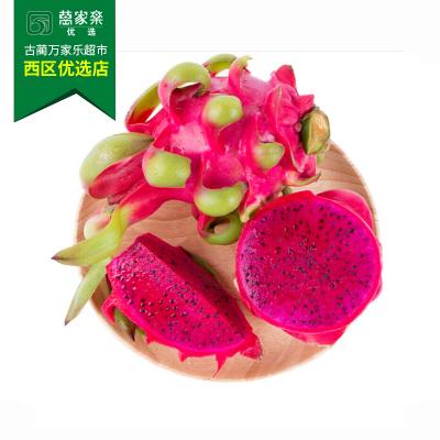 红心火龙果 约450g-550g/份