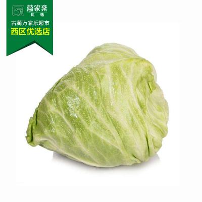 牛心白 约1000g-1050g/份