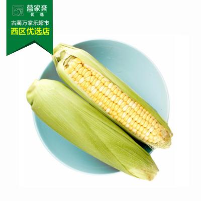 甜玉米 约450g-550g/份