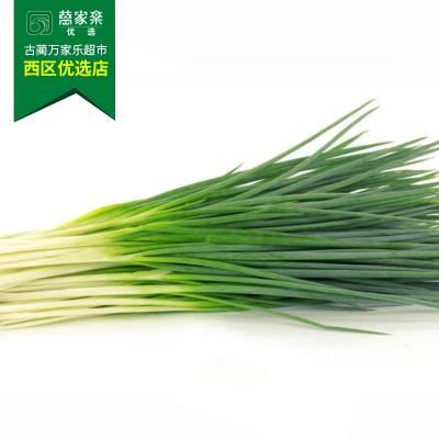 小葱 约100g-120g/份