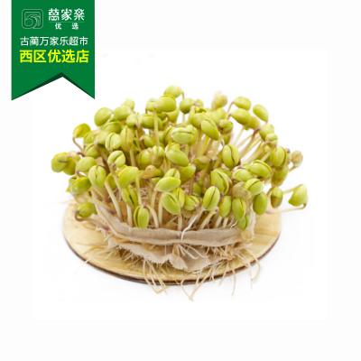 黄豆芽 约450g-550g/份