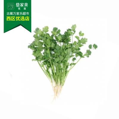 香菜 约100g-110g/份