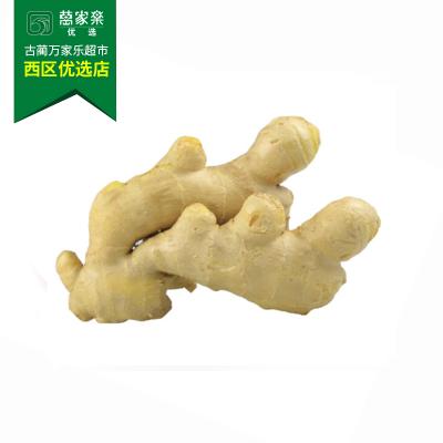 生姜 约450g-550g/份