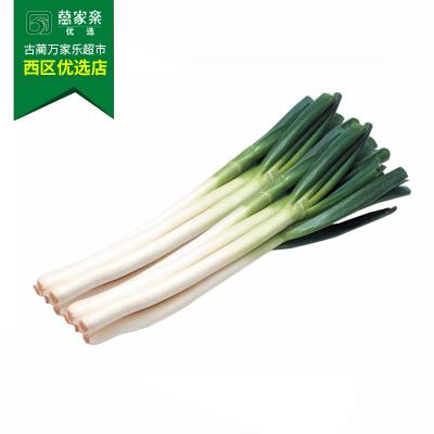 大葱 约200g-220g/份