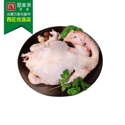 放养鸡 约450g-550g/份