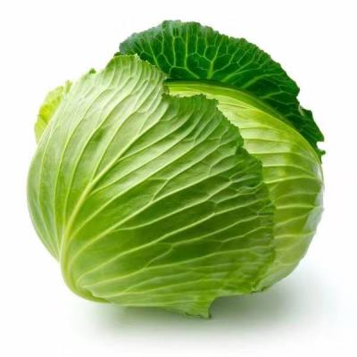 包包菜