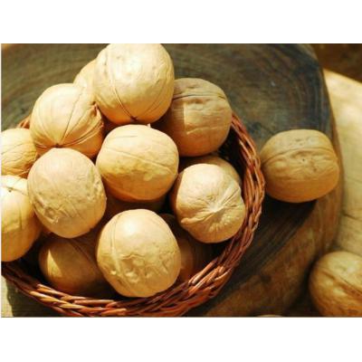 来自自家果园，新疆特产，独特风味，核桃500克