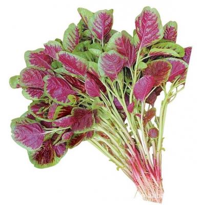 汉菜
