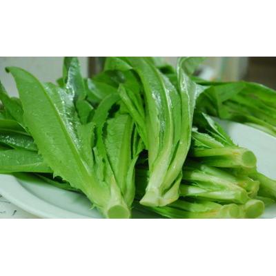 油麦菜