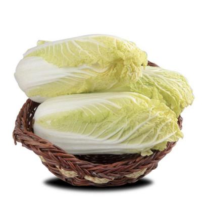 黄白菜