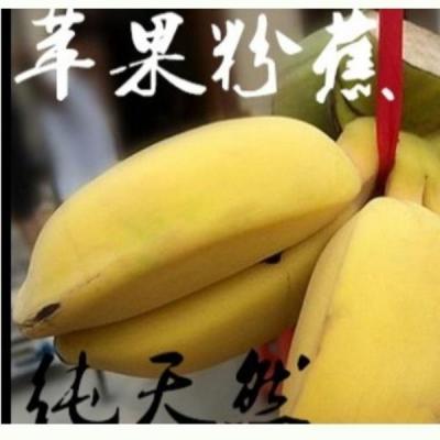 苹果蕉