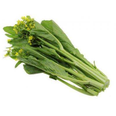 菜心