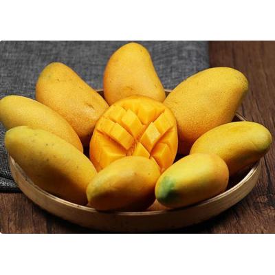 小台芒
