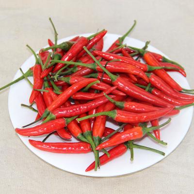 小米辣