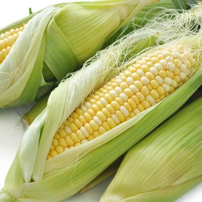 水果玉米