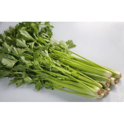 芹菜