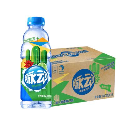 脉动仙人掌青橘...