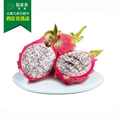 白心火龙果 约...