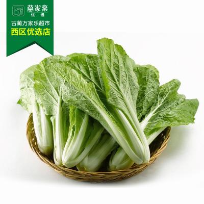 小白菜 约450g-550g/份