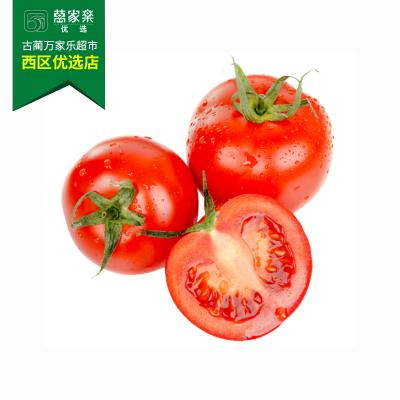 西红柿 约450g-550g/份