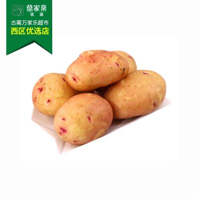 土豆 约450g-550g/份