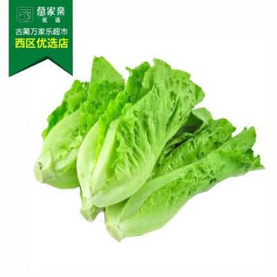 意大利生菜 约450g-550g/份
