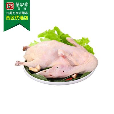 鲜土鸭 约450g-550g/份