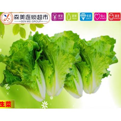 生菜（1斤装）