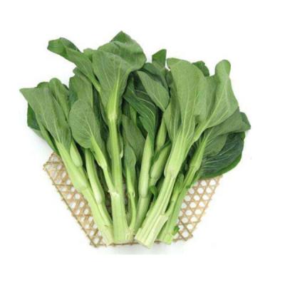线上支付体验商品-2
