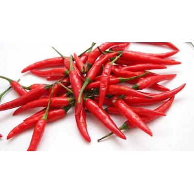 小米辣(约400g)