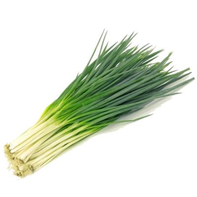 小葱（扎）