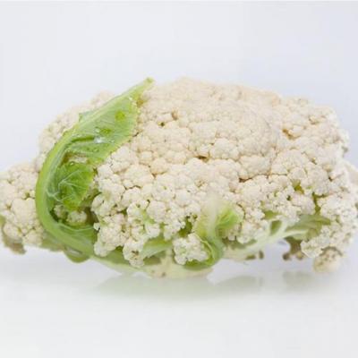 散花菜 (约1...